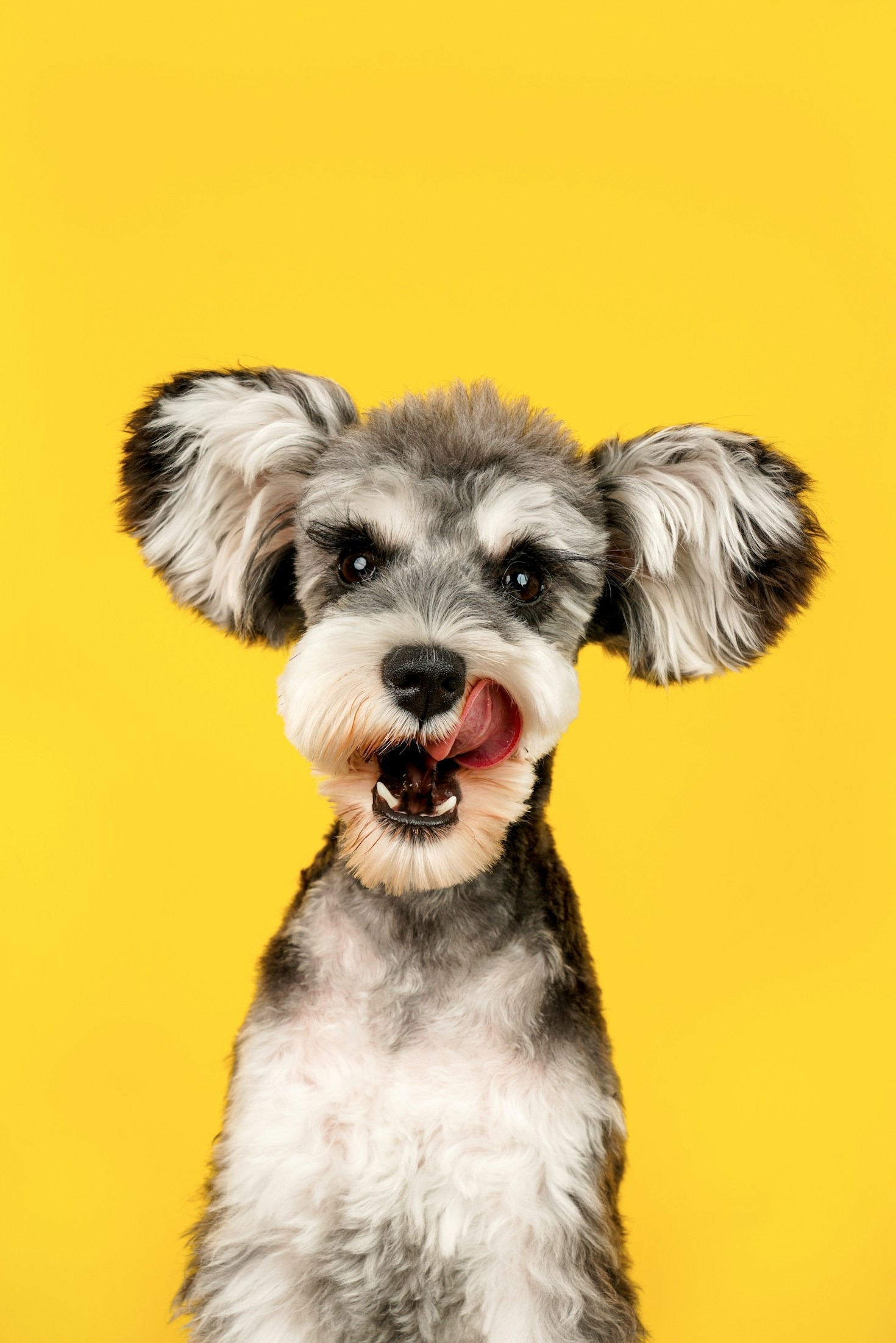 Sharing Stories: How Pets Change Our Lives